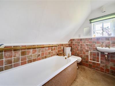 Picture 19